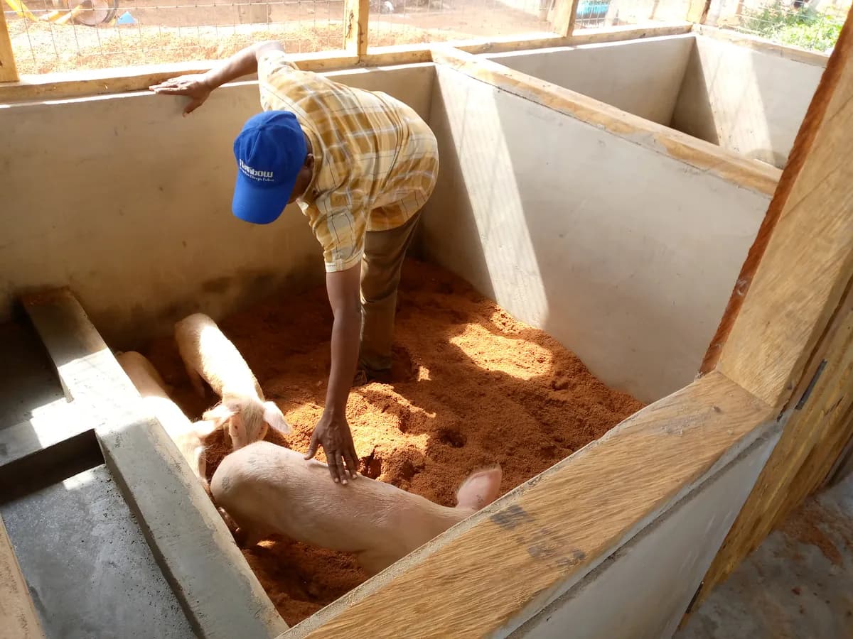 RA-Ghana-OLAM Partnership for Livelihood and Landscapes in Western Ghana - Main Field Image