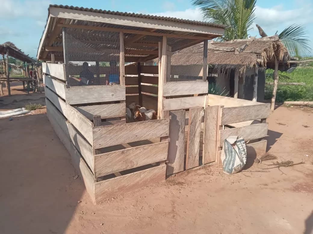 MiDA Project - Alternative Livelihoods - Main Field Image