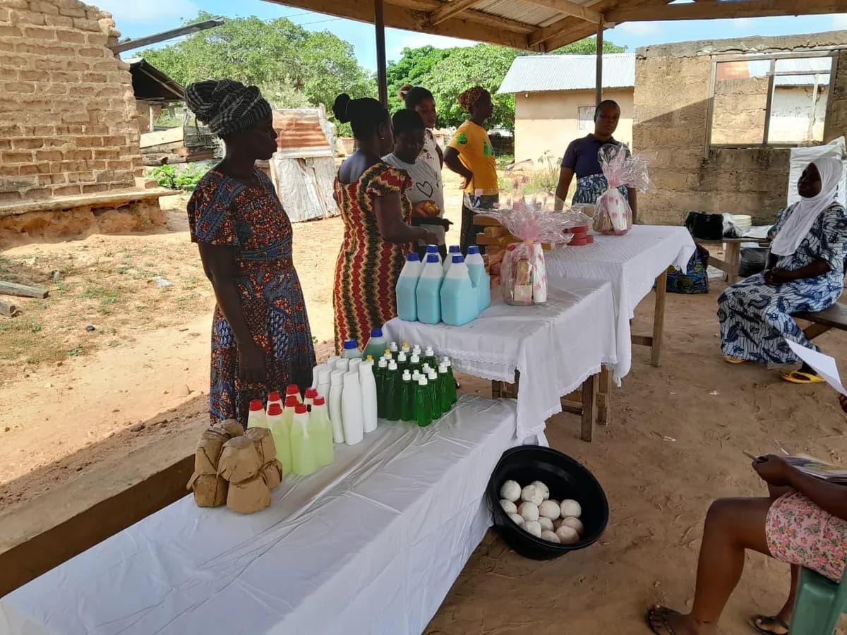 Ghana Landscape Restoration and Small-Scale Mining Project (GLRSSMP) - Main Field Image